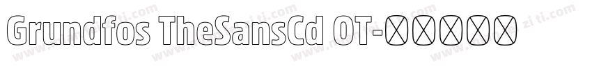 Grundfos TheSansCd OT字体转换